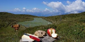Kredenz.me | Blog, Alles Käse